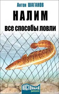 Налим