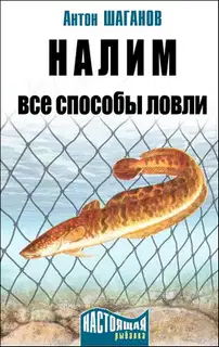 Налим