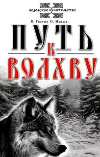 Путь к волхву