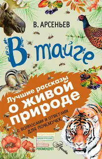 В тайге