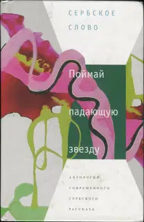 Поймай падающую звезду