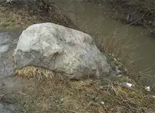 Рыбка в пруду