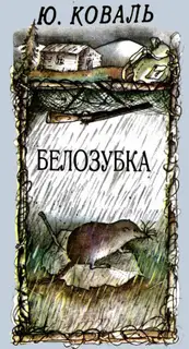Белозубка