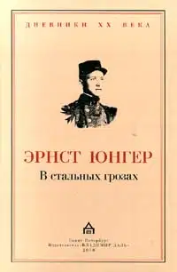 В стальных грозах