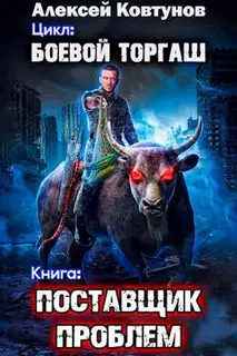 Поставщик проблем. Том 1
