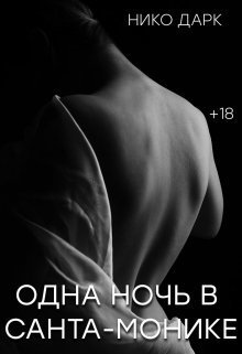 Одна ночь в Санта-Монике (СИ)