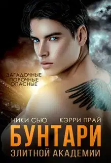 Бунтари элитной академии