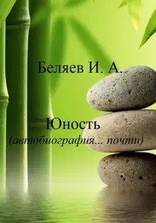 Юность. Автобиография… почти. Книга вторая. Цикл «Додекаэдр. Серебряный аддон»