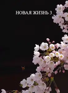 Новая жизнь 3