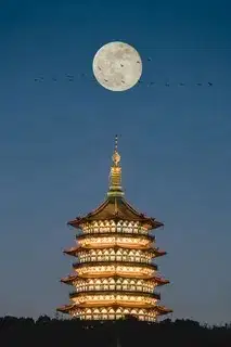 Убежище