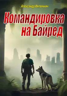 Командировка на Байред