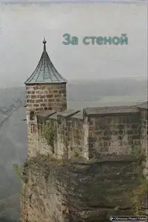 За стеной