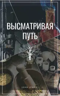 Высматривая путь. Том I (СИ)