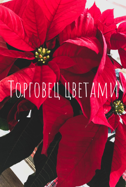 Торговец цветами