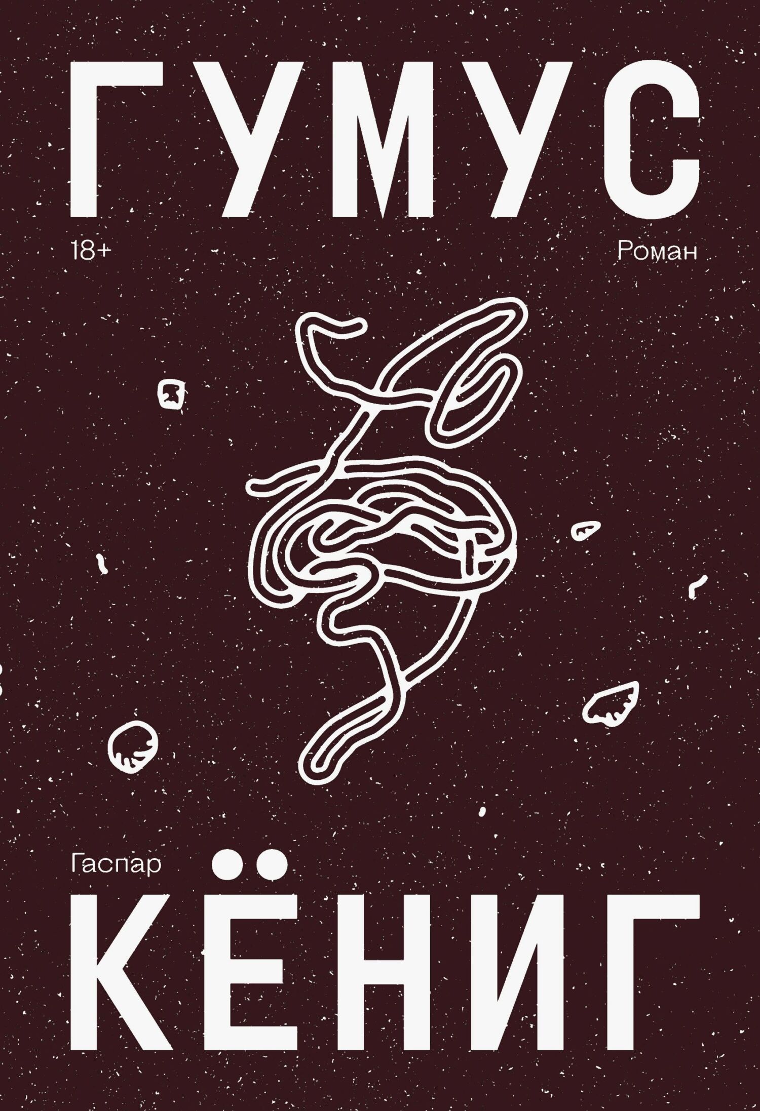 Гумус
