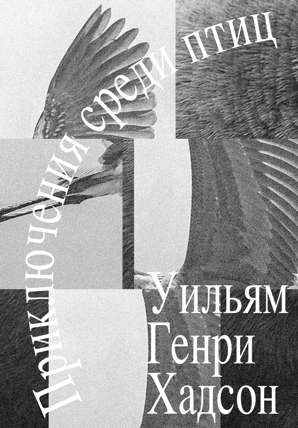 Приключения среди птиц