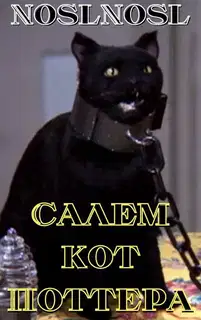 Салем кот Поттера