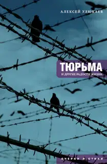 Тюрьма и другие радости жизни. Очерки и стихи