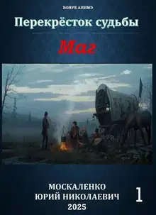 Перекресток судьбы 2. Маг. Книга первая