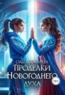 Проделки Новогоднего духа