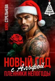 Новый год с Альфой. Пленники непогоды