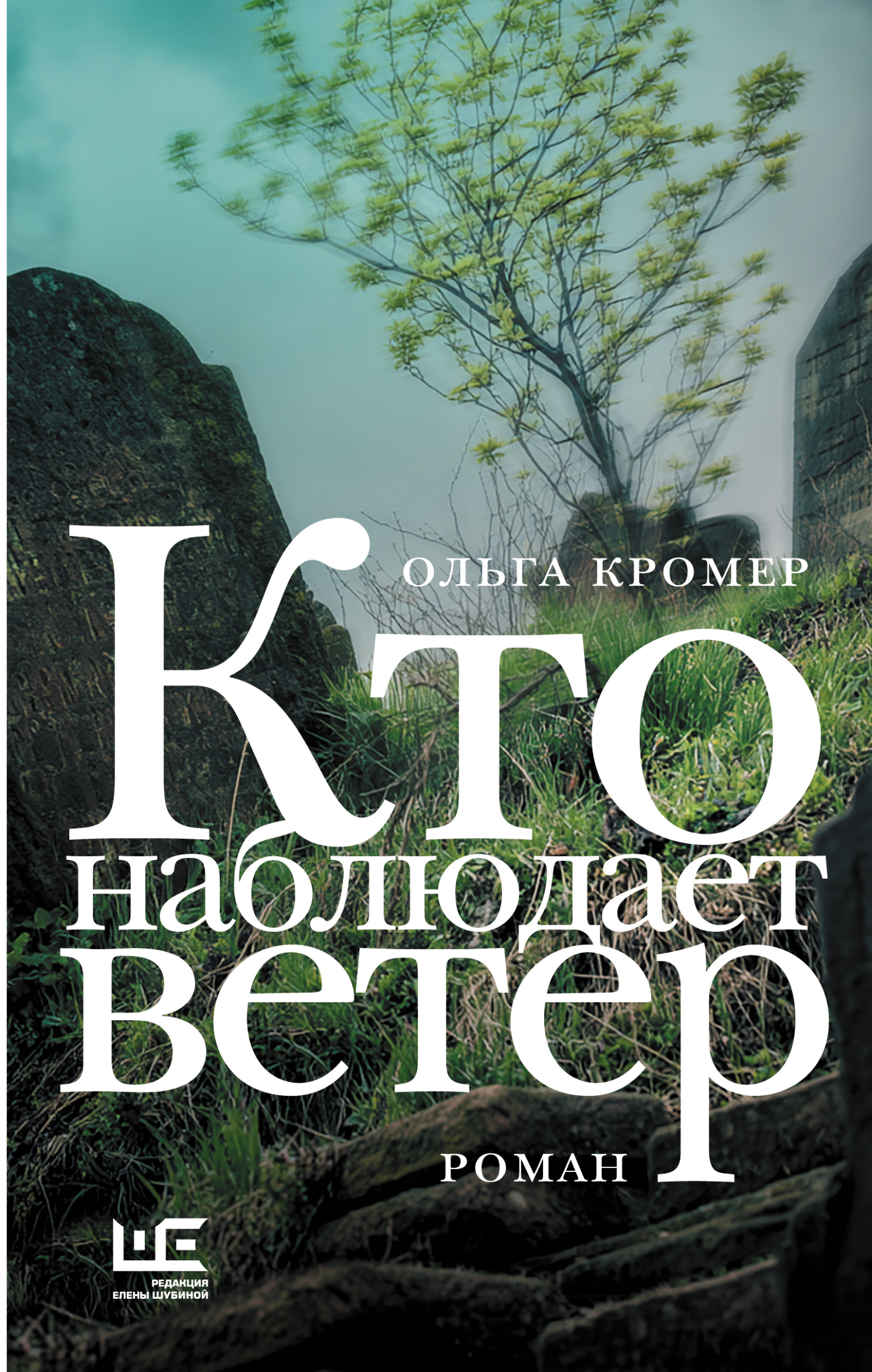 Кто наблюдает ветер