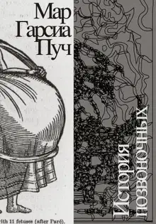 История позвоночных