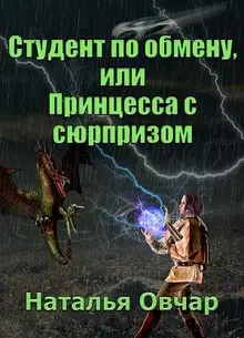 Студент по обмену, или Принцесса с сюрпризом [СИ]
