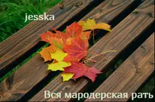 Вся мародерская рать