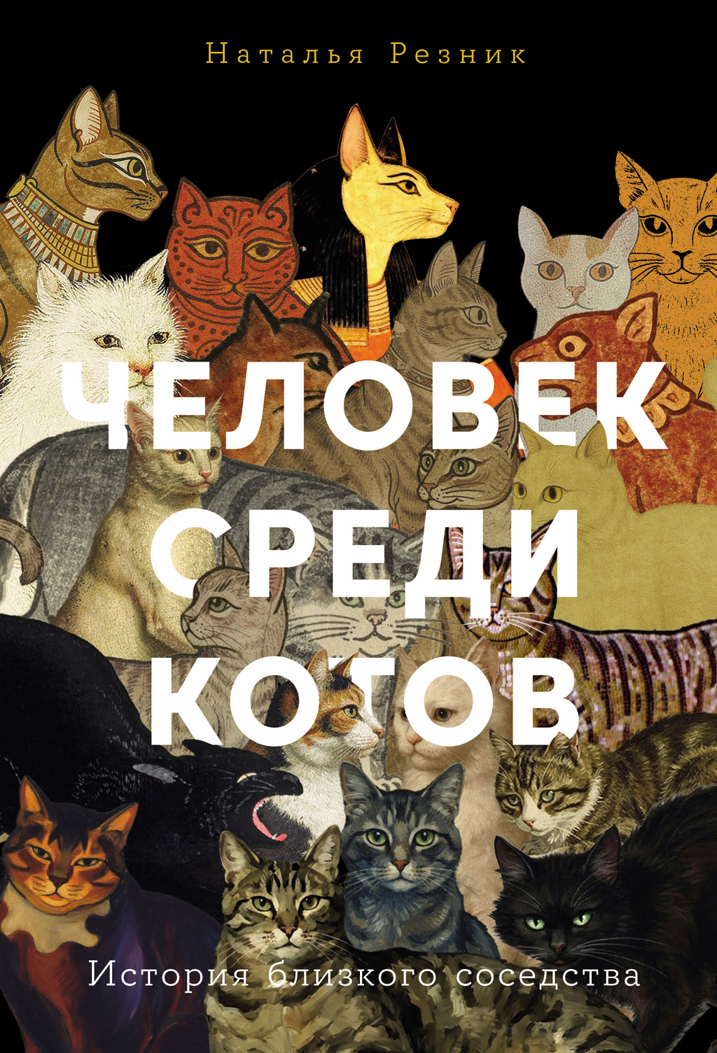 Человек среди котов: История близкого соседства
