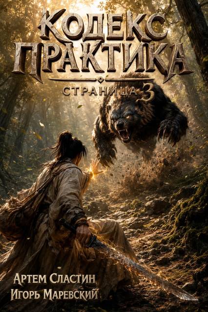Кодекс Практика: Страница 3