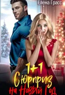 1 + 1. Сюрприз на Новый год